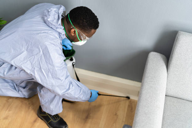 Emergency Pest Control Services in Altamonte Springs, FL